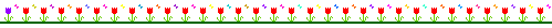 tulip divider