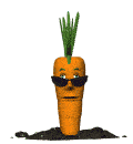 carrot in sunglasses